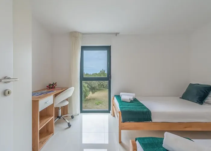 Windrose Apartman *
