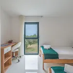 Windrose Apartman *